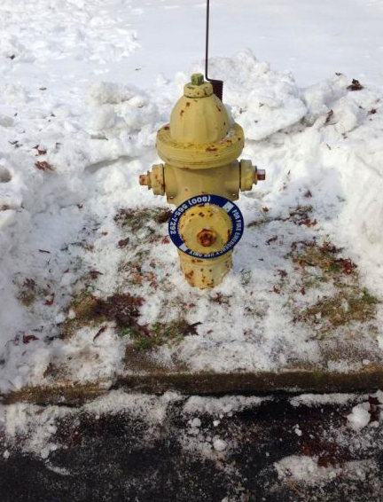 FireHydrant in snow